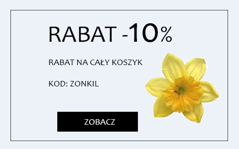 Przedświąteczny rabat na cały koszyk!