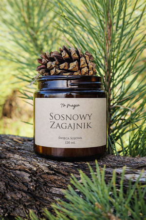 Świeca sojowa SOSNOWY ZAGAJNIK 120 ml, ToMagia